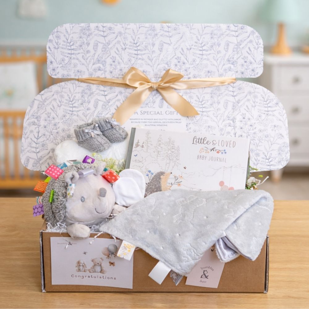 Gift for baby shower with a baby journal and taggie ribbon hedgehog soft toy in a postal gift box