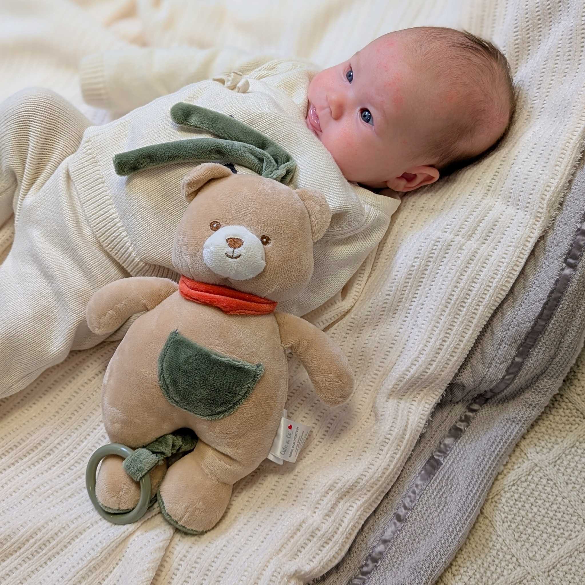 Green and beige musical baby toy bear soft toy