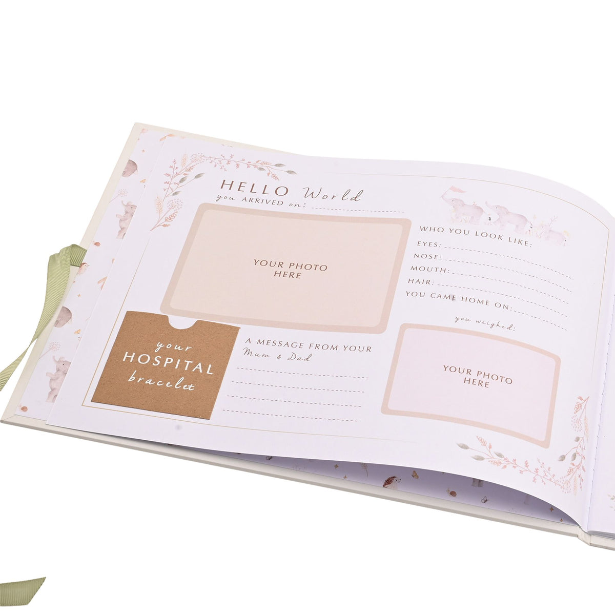 Close-up of the Hello World record page with spaces for baby photographs and birth details.