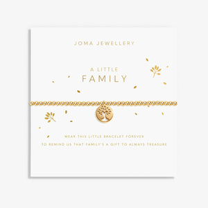 Joma Jewellery Family bracelet with sentiment card