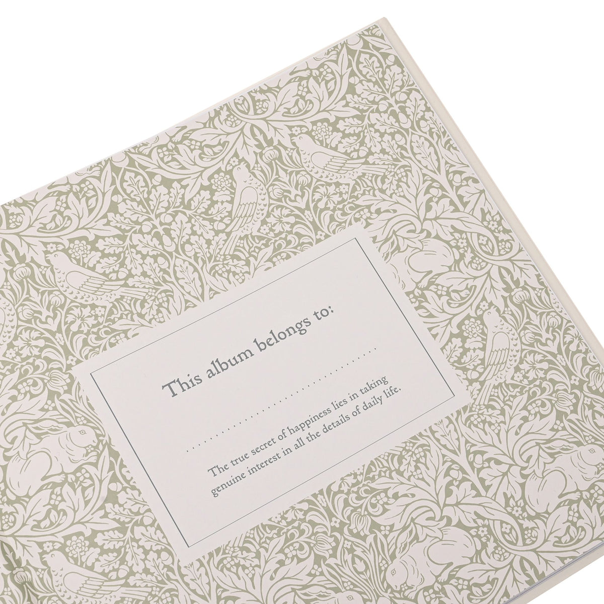 Patterned endpaper with This album belongs to dedication panel