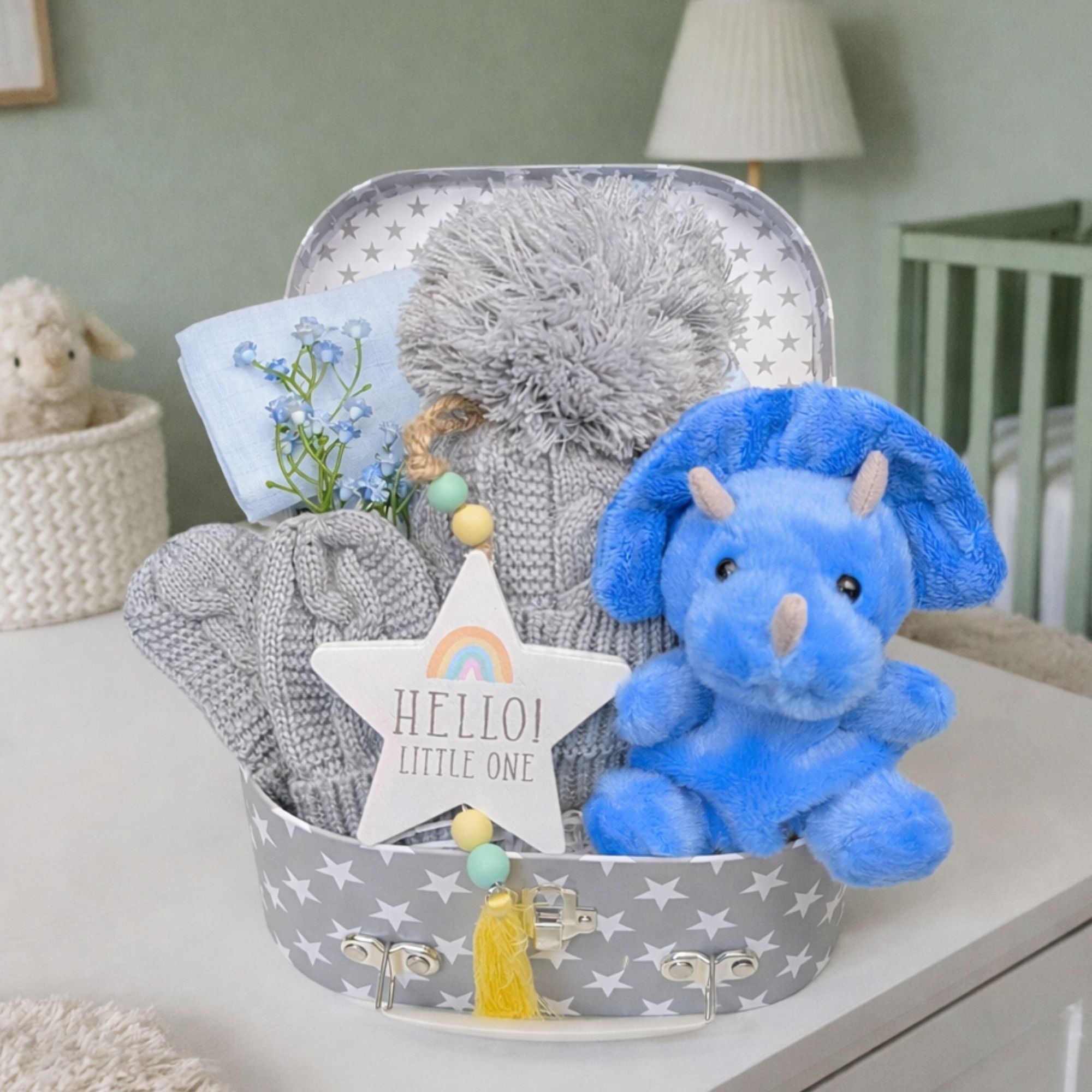Baby boy gift box with blue dinosaur and grey hat and mittens.