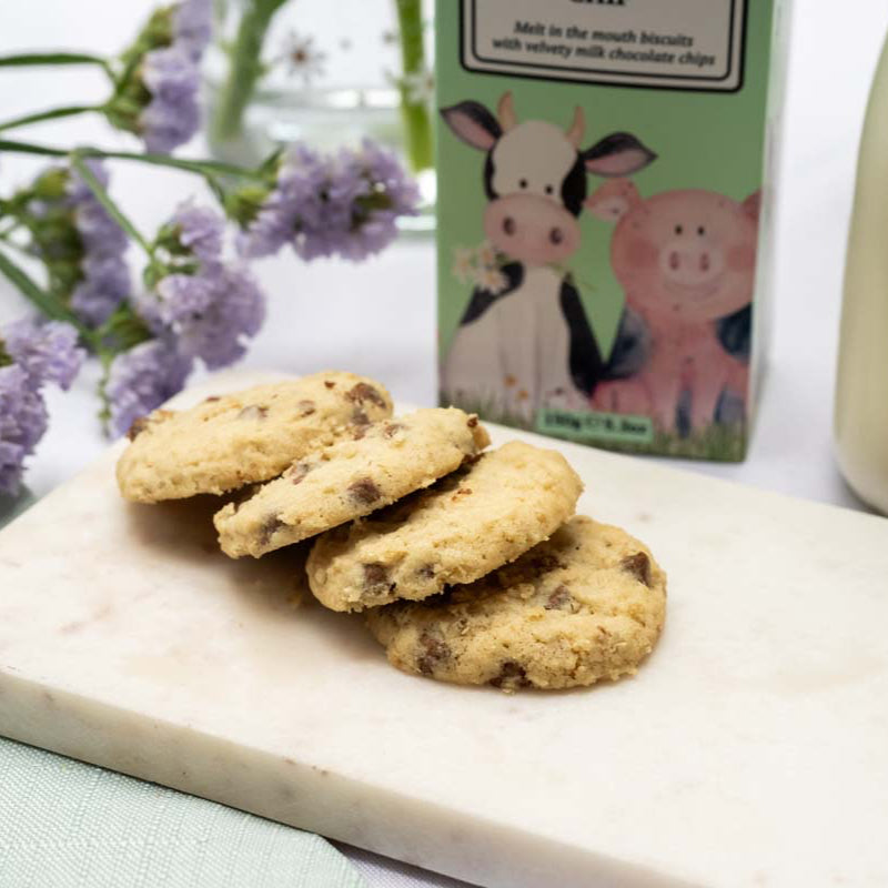 Closeup of milk chocolate chip biscuits