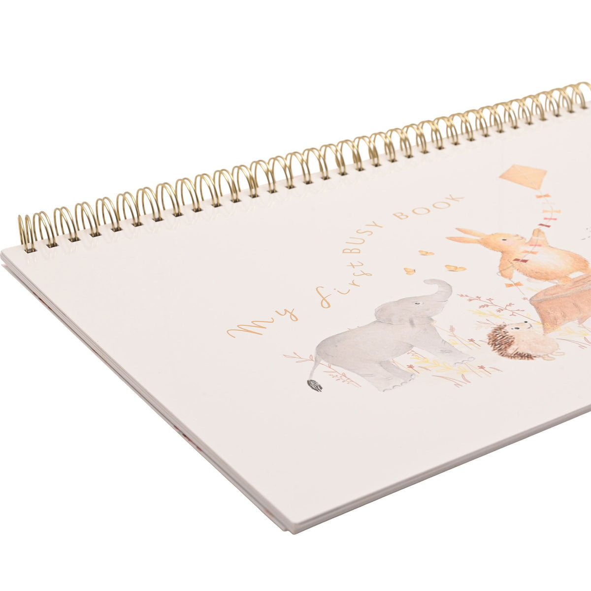 Angled close-up of the busy book cover and gold-coloured spiral binding.