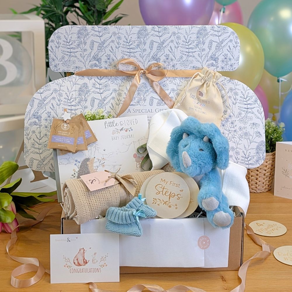 Baby boy gift box with blue dinosaur soft toy and milestone discs and presents in a eco hamper.