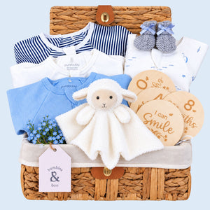 Baby boy hamper gift basket with presents including organic clothing in blue and white with a lamb toy and milestone discs.