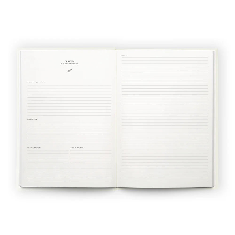 Open pages of bloom pregnancy journal