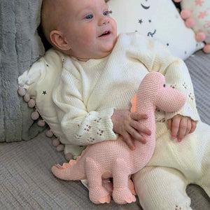 Knit organic dinosaur rattle 