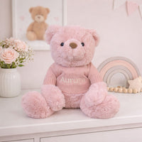 Personalised pink teddy bear with a pink jumper with embroidery