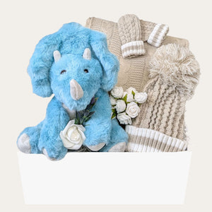 Eco-Friendly Baby Boy Gifts Hamper with a recycled blue plush dinosaur. Gifts packed in a keepsake box by Bumbles and Boo.