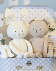 twins baby gifts trunk bunny and bear theme