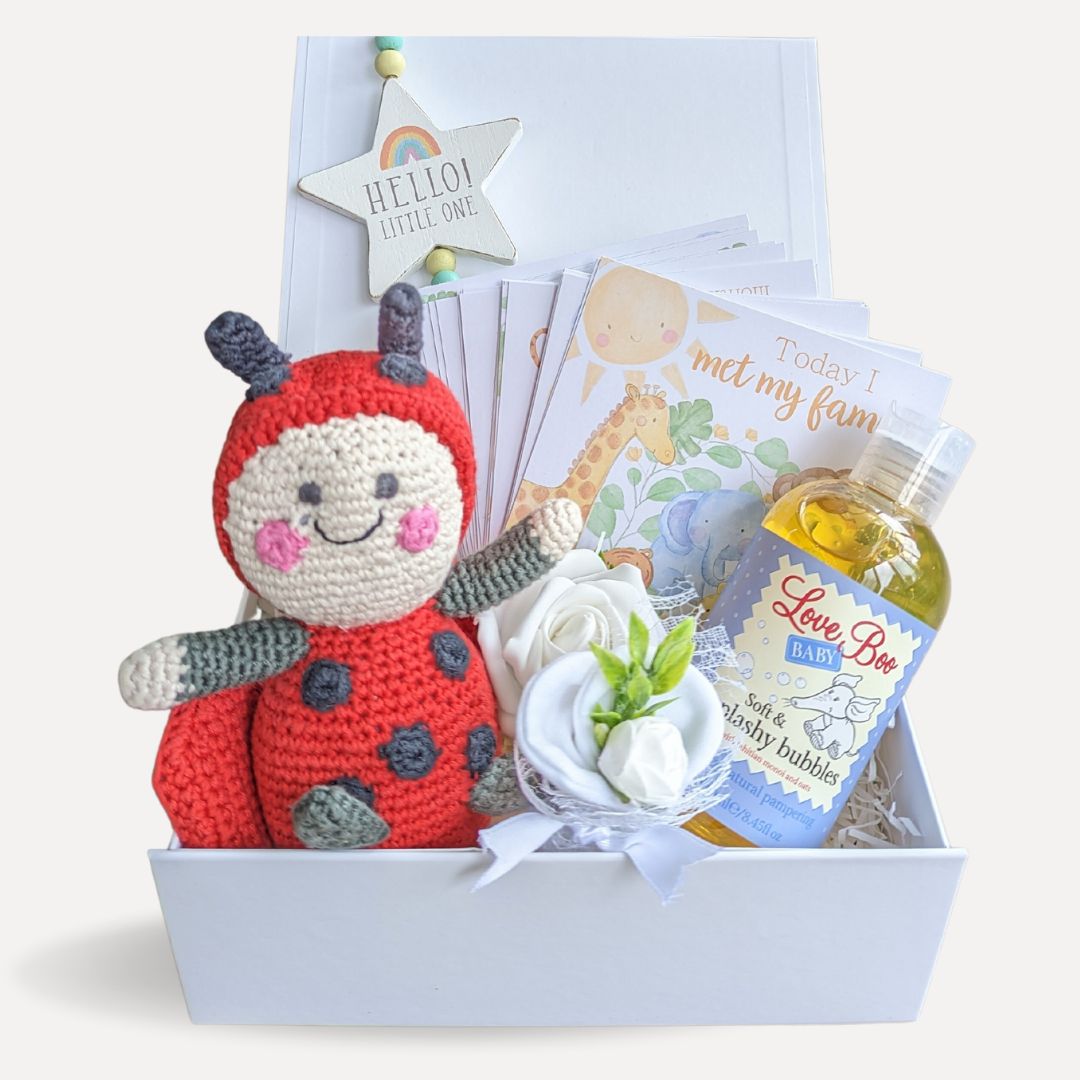 A lovely gift for a new baby. Includes an organic colourful ladybird, beautifully illustrated baby milestone cards, star hanging plaque, baby socks, mittens and baby organic wash.
