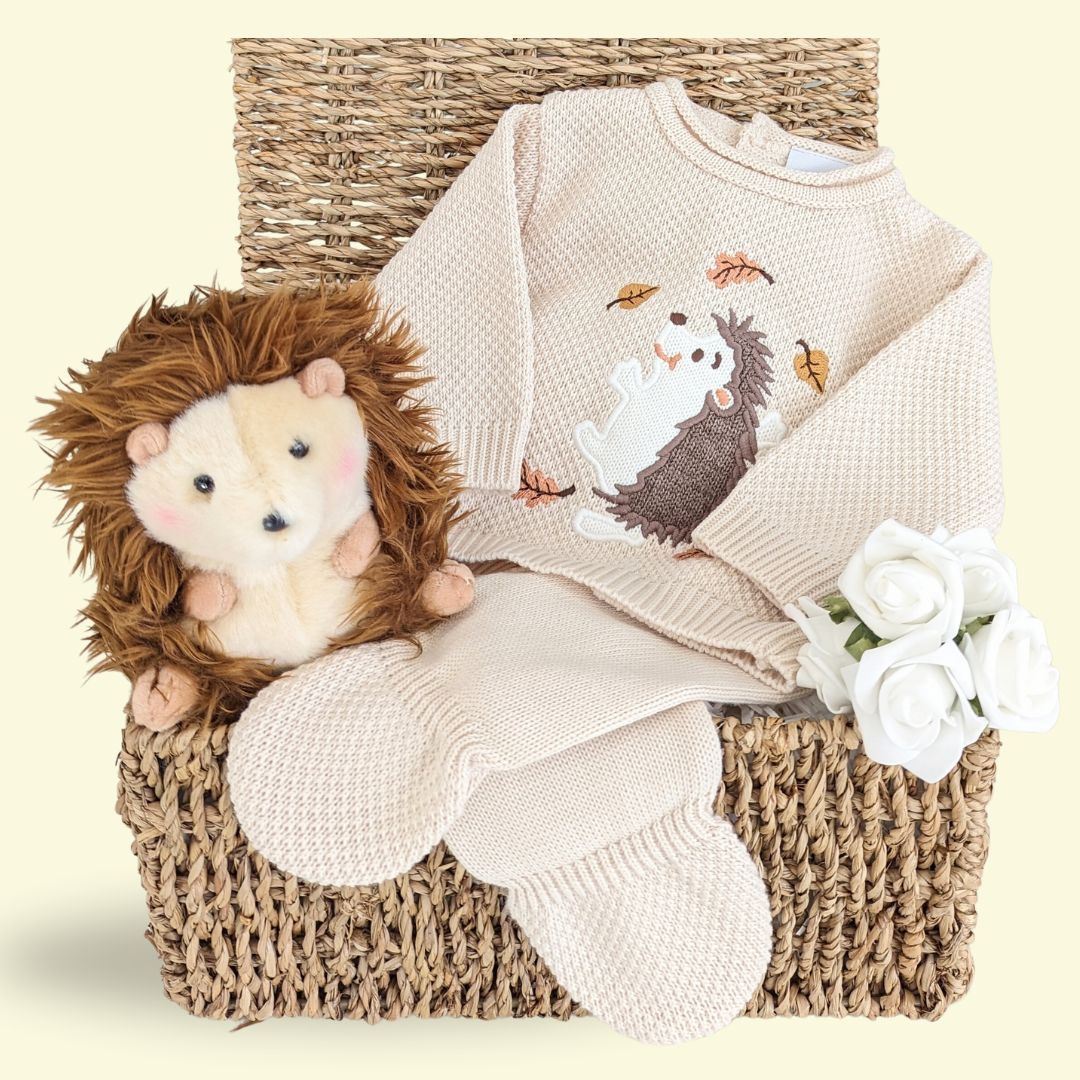 Unisex new baby hamper gift with hedgehog knit clothing set and matching hedgehog soft toy.
