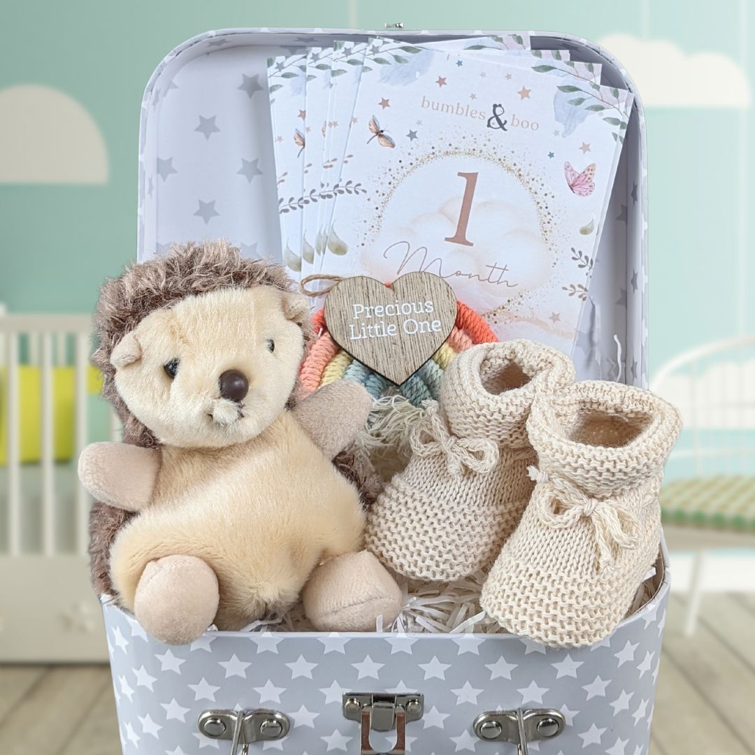 Baby gifts trunk with eco friendly hedgehog soft toy