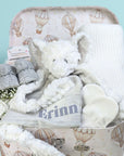 unisex baby gifts trunk with elephant comforter and baby booties.