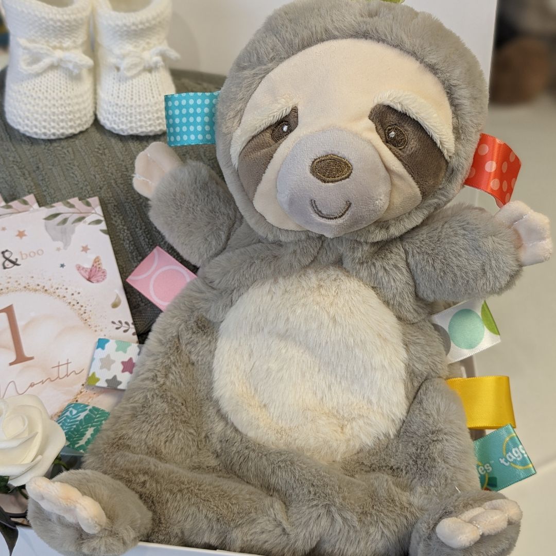 New baby gifts box hamper with sloth comforter blanket and organic towel.