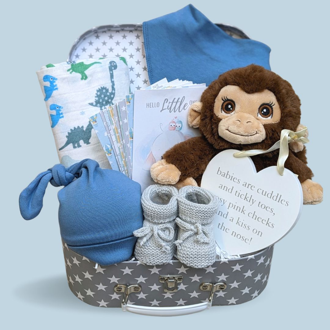 Baby boy gift hamper with monkey soft toy, baby bibs, baby blanket and baby socks.