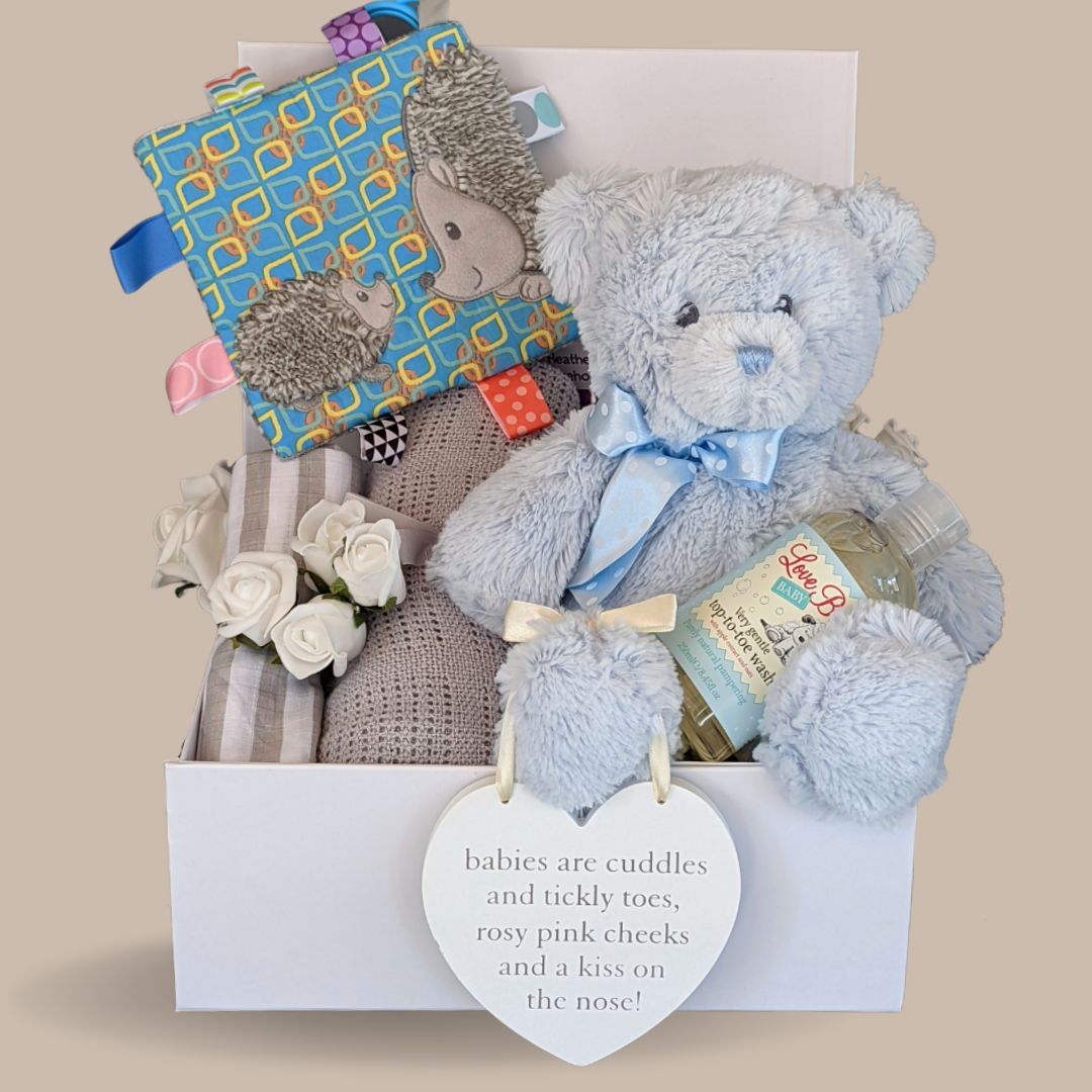 Baby boy hamper gift box with blue teddy bear and taggie hedgehog square.