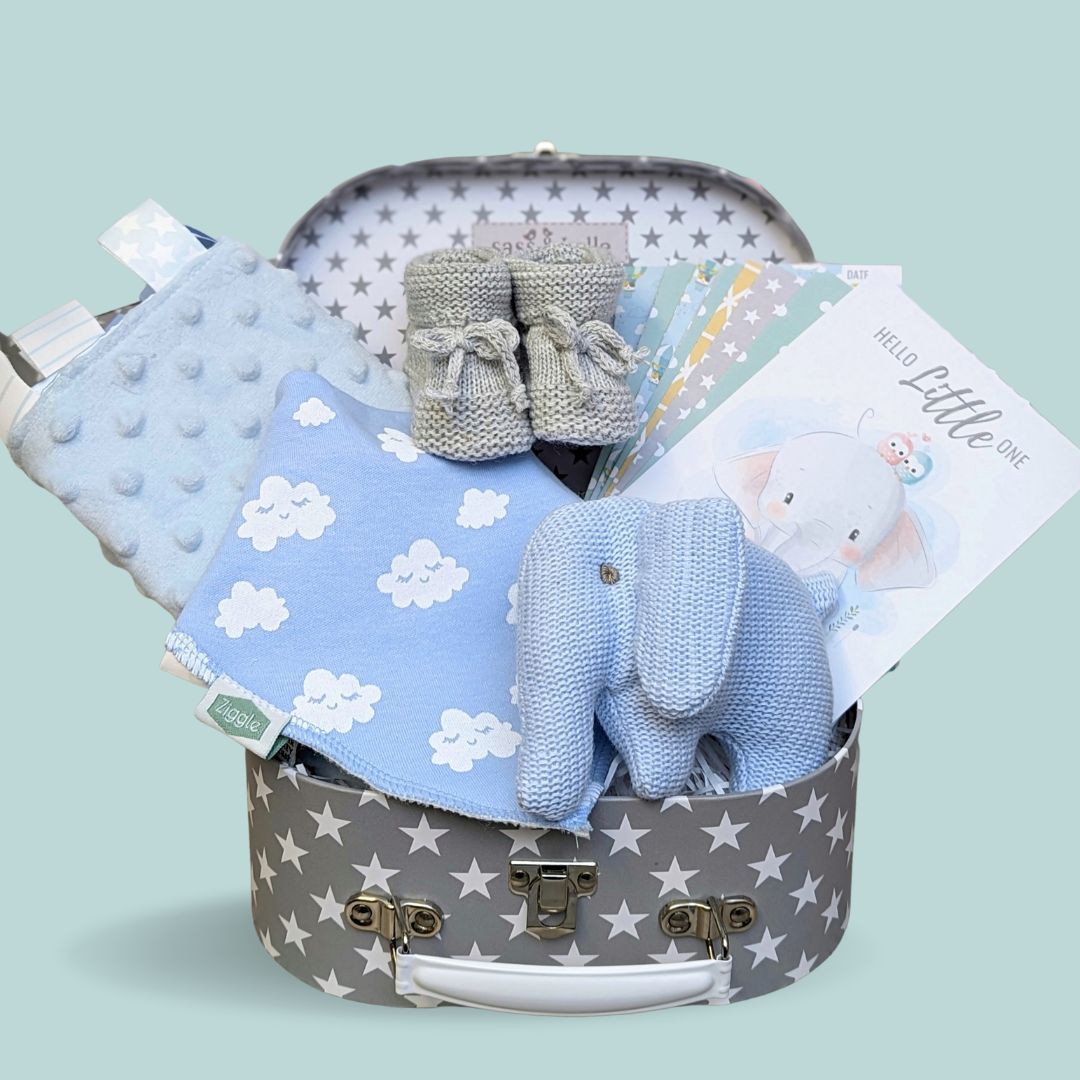 Baby boy hamper with gifts including blue elephant rattle, taggie blanket and bib.