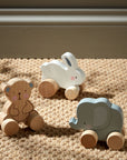 Wooden Push Toy by Bambino