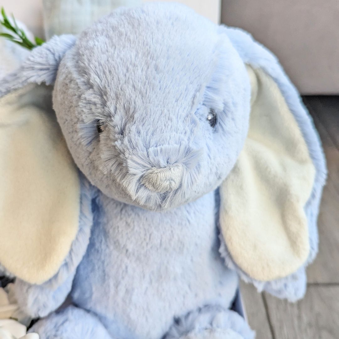 Blue bunny rabbit with long ears