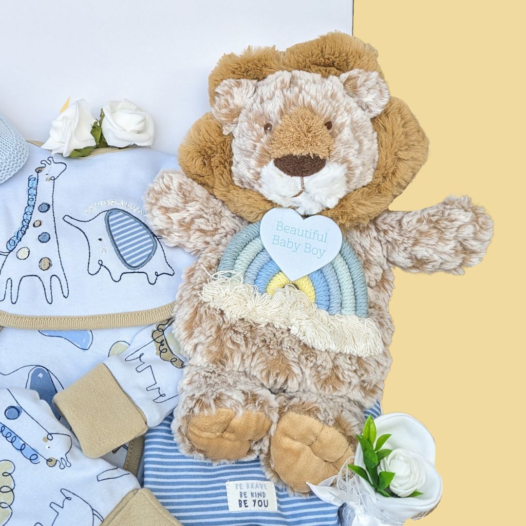 Adorable baby boy hamper box with lion soft toy, organic clothing set and rainbow nursery plaque. The gift can be gift wrapped and delivered directly to the recipient.