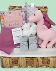 New baby gift - baby girl basket with cuddly toy, blanket, chocolates, booties and hat. Designed in an eco basket by Bumbles and Boo baby gifts.