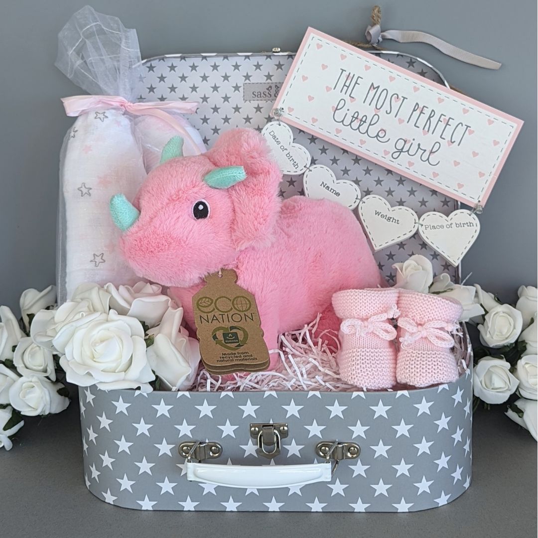 Baby girl hamper gift basket with cuddly toy, muslin blankets, nursery plaque and baby booties.