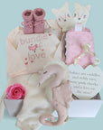 baby girl hamper gifts box with clothing set, baby knit booties, taggie blanket, hanging plaque and  organic sea horse soft toy.
