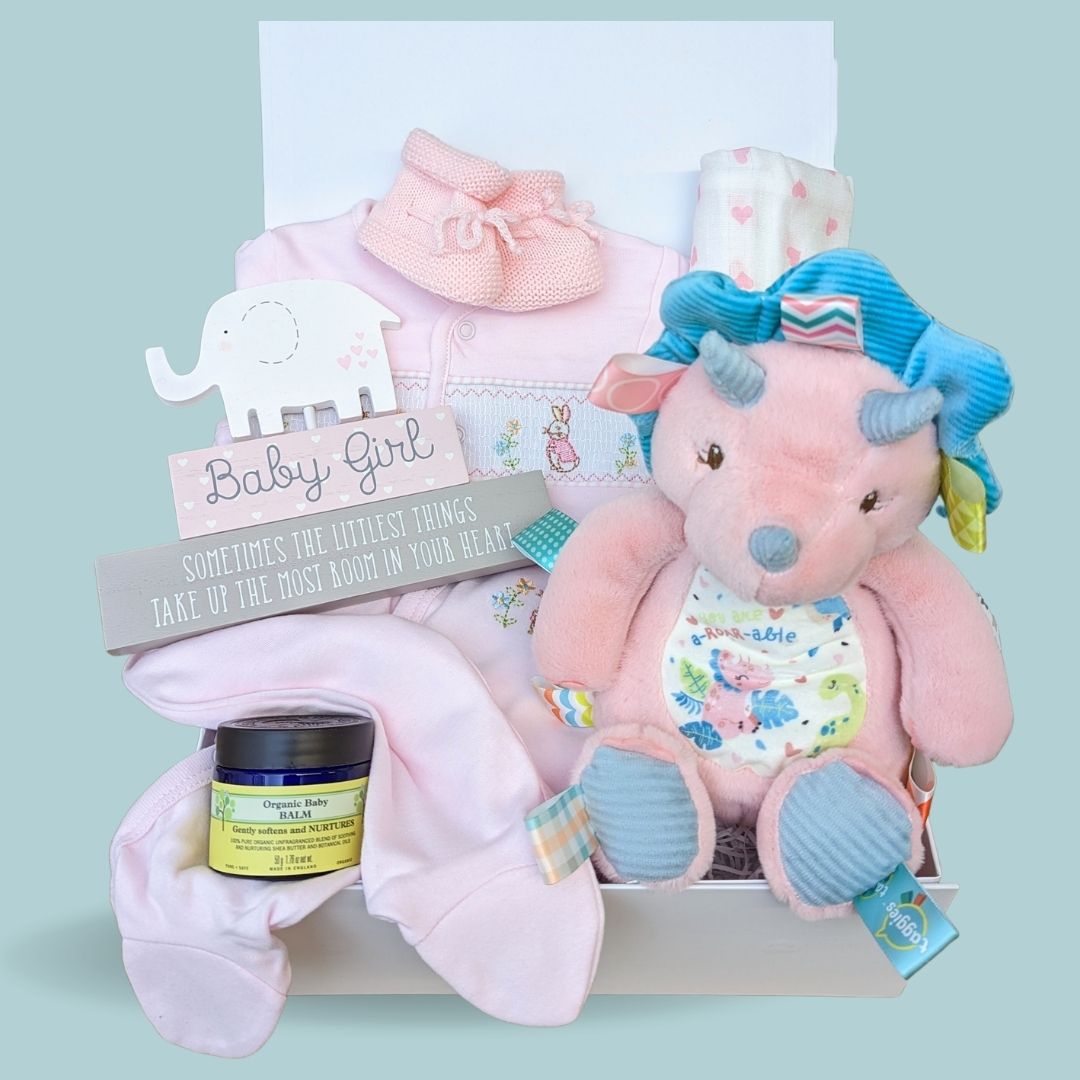 Baby girl hamper with pink dinosaur soft toy and floral pink baby clothes.