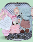 New baby girl hamper gift with elephant soft toy, nursery plaque, baby booties, baby mittens and taggie blanket.