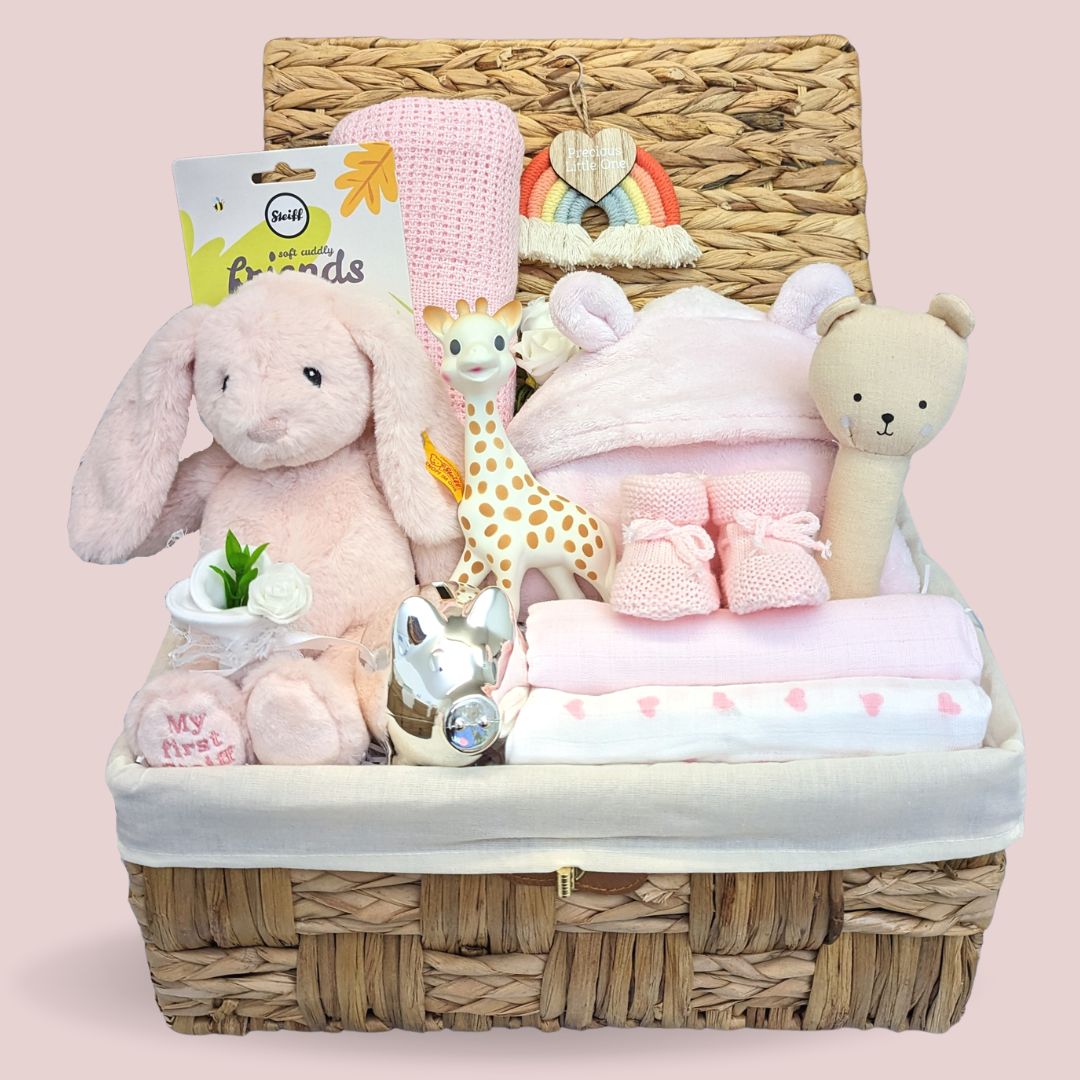 baby girl hamper with teddy bear and baby blanket. Also included is a silver money box and dressing gown.