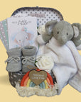 Baby Shower hamper gift with elephant soft toy, milestone cards, baby booties and hanging rainbow decoration.