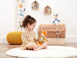 Soft Toy 'Mr Todd' From Peter Rabbit and Friends Cuddly Toys.