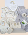 Baby hamper gifts box with teddy bear theme. Includes organic clothing set, baby mittens, baby booties, hanging plaque and teddy bear.